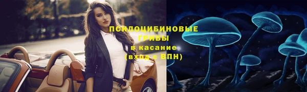 а пвп мука Арсеньев