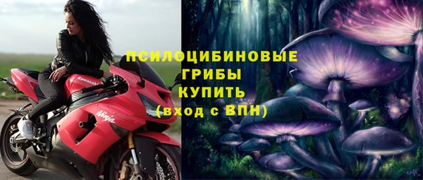 спайс Алзамай