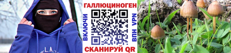 Псилоцибиновые грибы ЛСД Сыктывкар